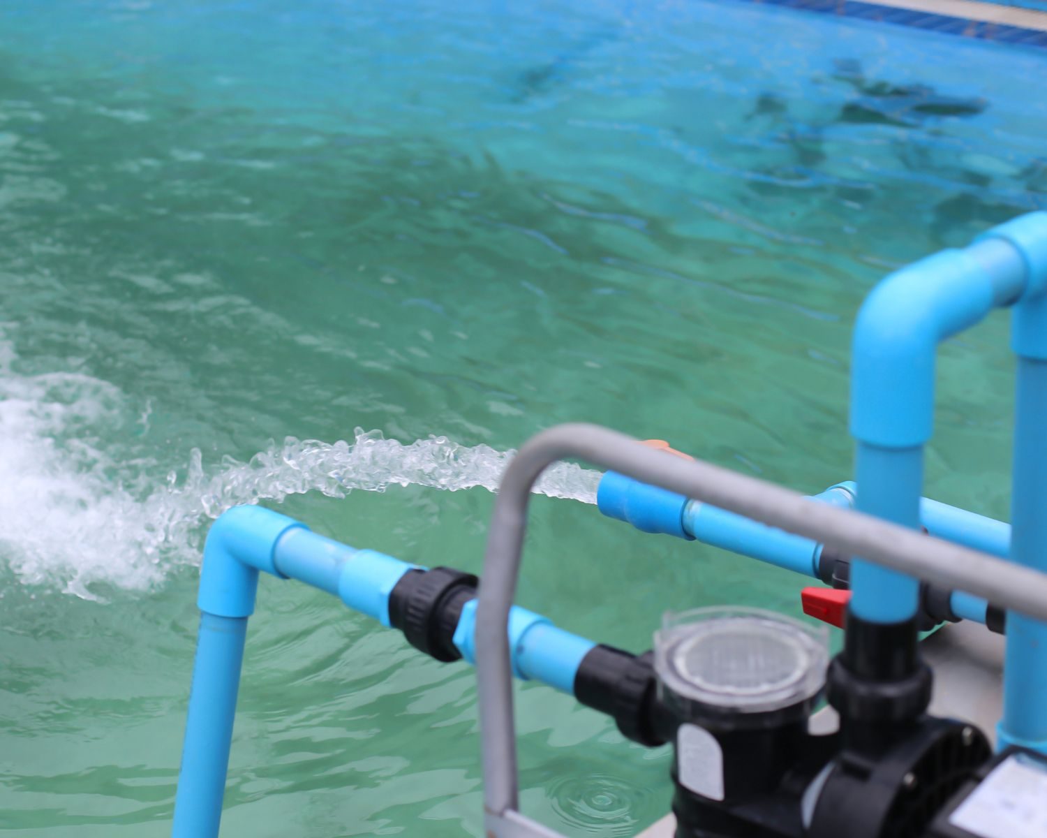 piscine plus écologique pompe
