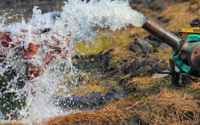 L’arrivée des beaux jours : un enjeu clé pour la gestion de l’eau en agriculture