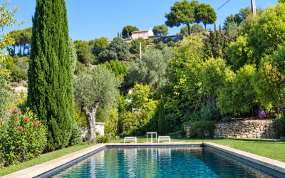 Aménagement paysager autour de piscine creusée